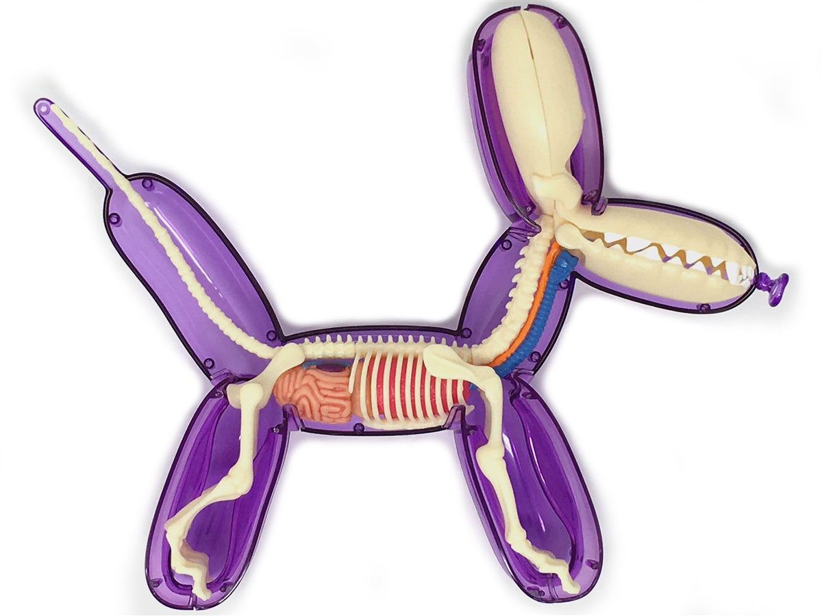 Jason Freeny × 4D Master – Balloon Dog Anatomy (Blue Edition)