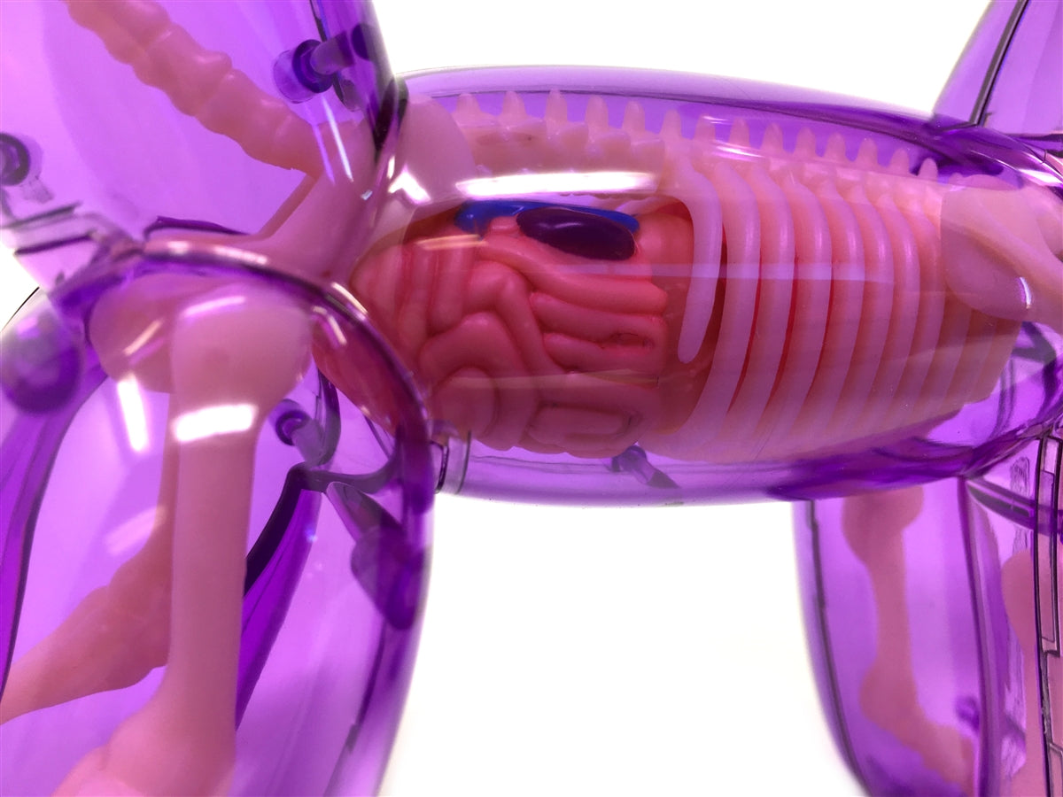 Jason Freeny × 4D Master – Balloon Dog Anatomy (Blue Edition)
